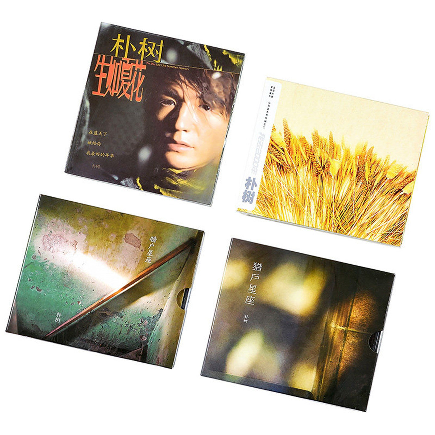 正版唱片 朴树专辑 生如夏花 猎户星座cd光盘 平凡之路 清白之年