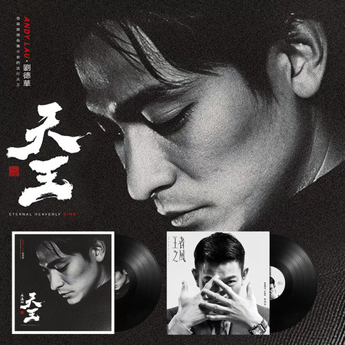 刘德华黑胶唱片LP经典歌曲 暗里着迷/爱你一万年 留声机12寸碟片