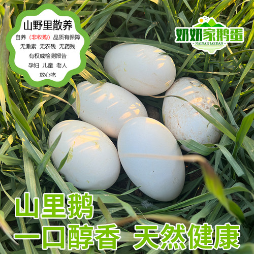 奶奶家山里鹅蛋新鲜营养现捡现发