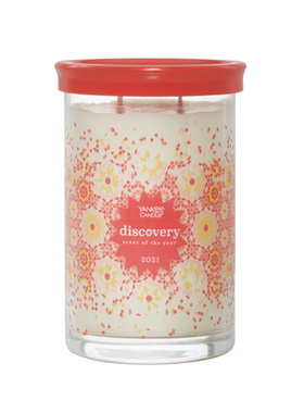 送点火器yankeecandle洋扬杨基香薰蜡烛双烛芯美饰大瓶623g美国