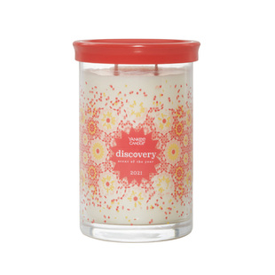 送点火器yankeecandle洋扬杨基香薰蜡烛双烛芯美饰大瓶623g美国