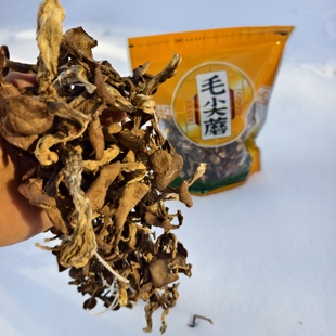 500g大兴安岭野生毛尖蘑 非鹿茸菇/榛蘑/花脸蘑/土豆蘑冒充，新货