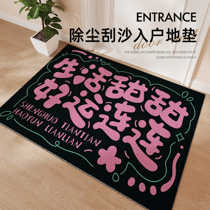 入户门地垫丝圈脚垫门垫进门家用大门口地毯玄关室外新年过年耐脏