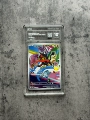 W23. Black 10 point spotted fire cat