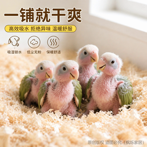 鹦鹉雏鸟垫料繁殖箱粪便清理木屑