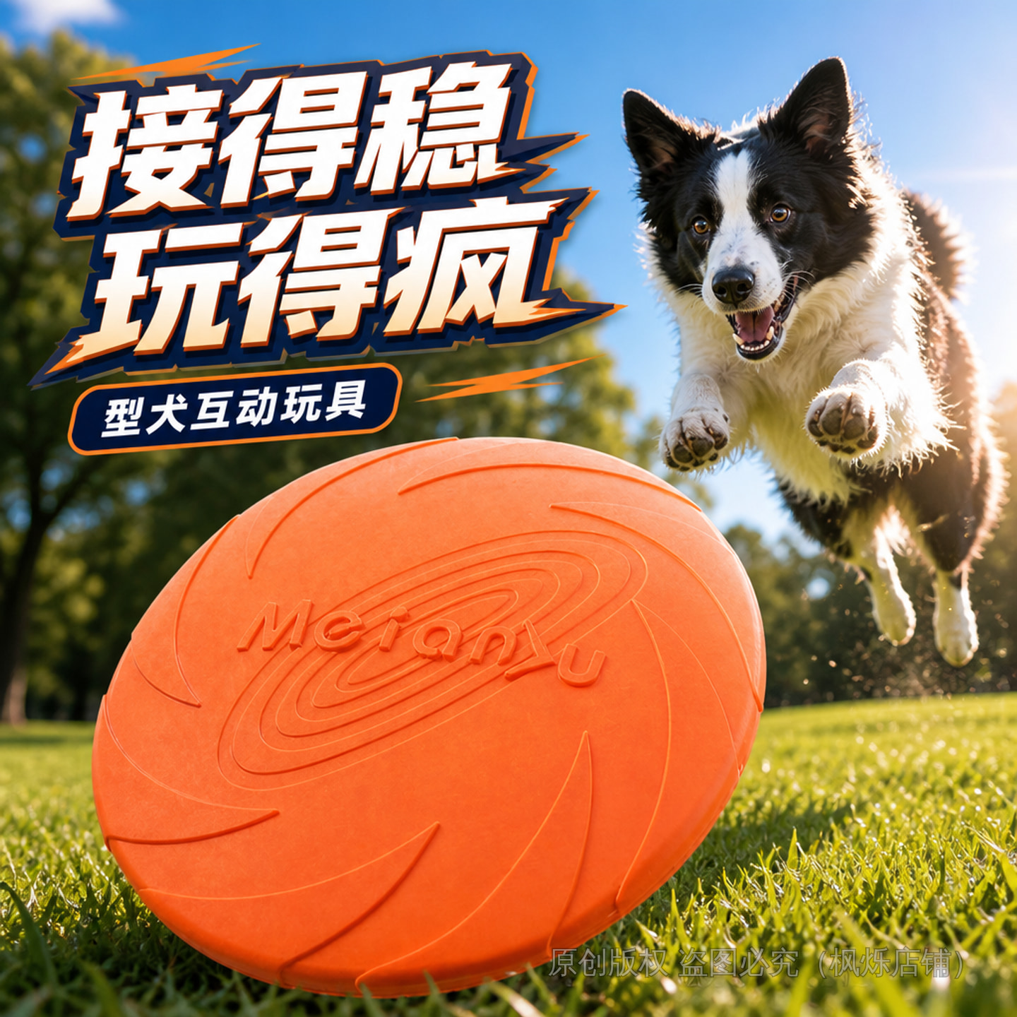 狗狗耐咬训狗互动飞盘图片
