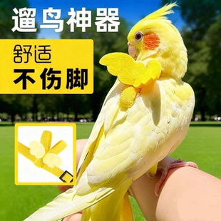 鹦鹉牵引绳外出放飞绳户外遛鸟神器玄凤牡丹超轻不伤脚背带小鸟芰
