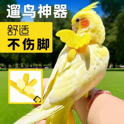 鹦鹉牵引绳外出放飞绳户外遛鸟神器玄凤牡丹超轻不伤脚背带小鸟芰