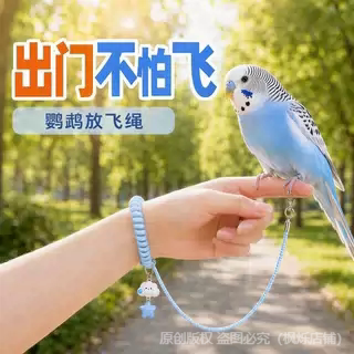 超轻护脚无感佩戴放飞绳