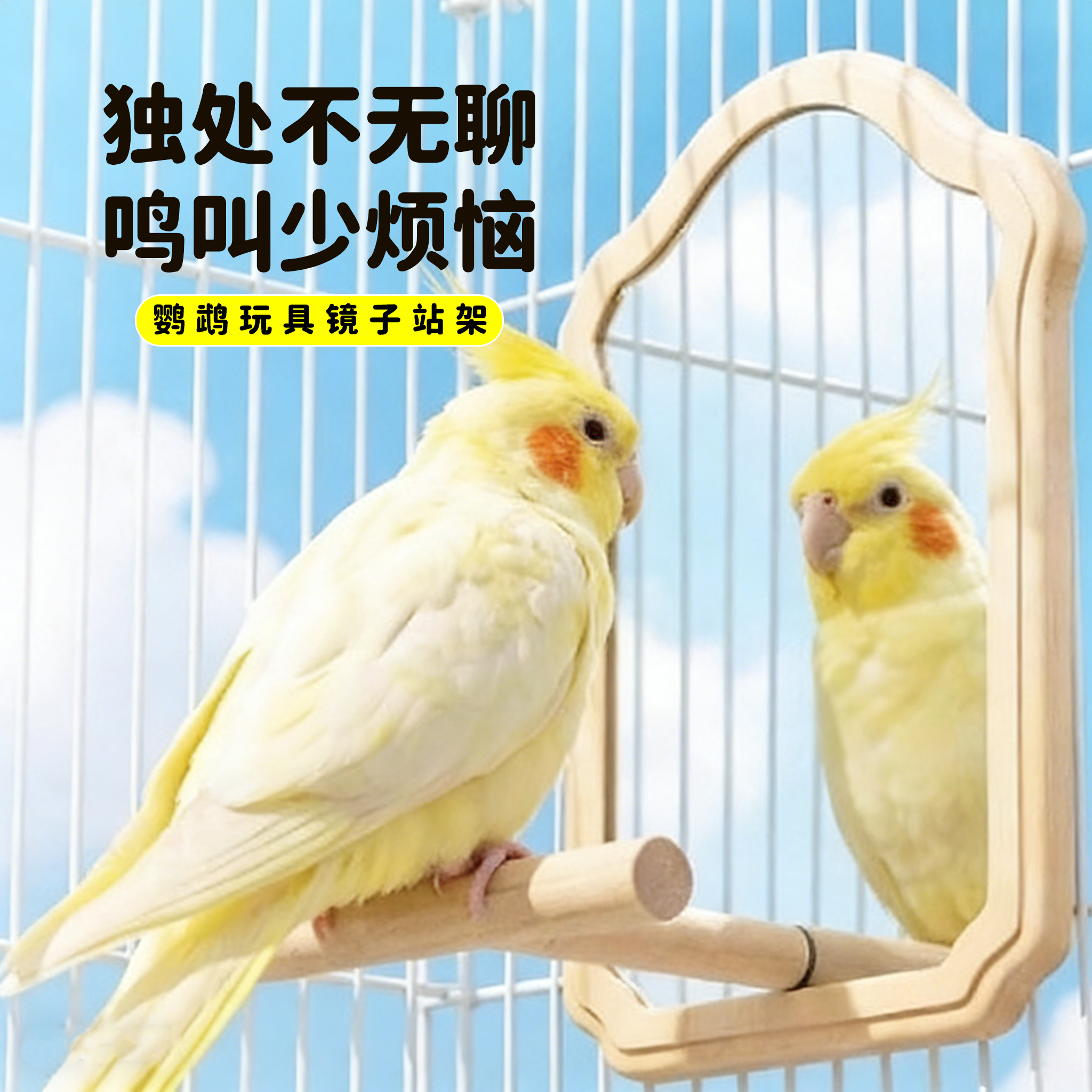 鹦鹉镜子笼内装饰鸟笼造景站架解闷自嗨耐咬玩具虎皮玄风用品芰,宠物/宠物食品及用品,鸟玩具,淘宝优惠券,粉丝福利购,淘宝优惠卷