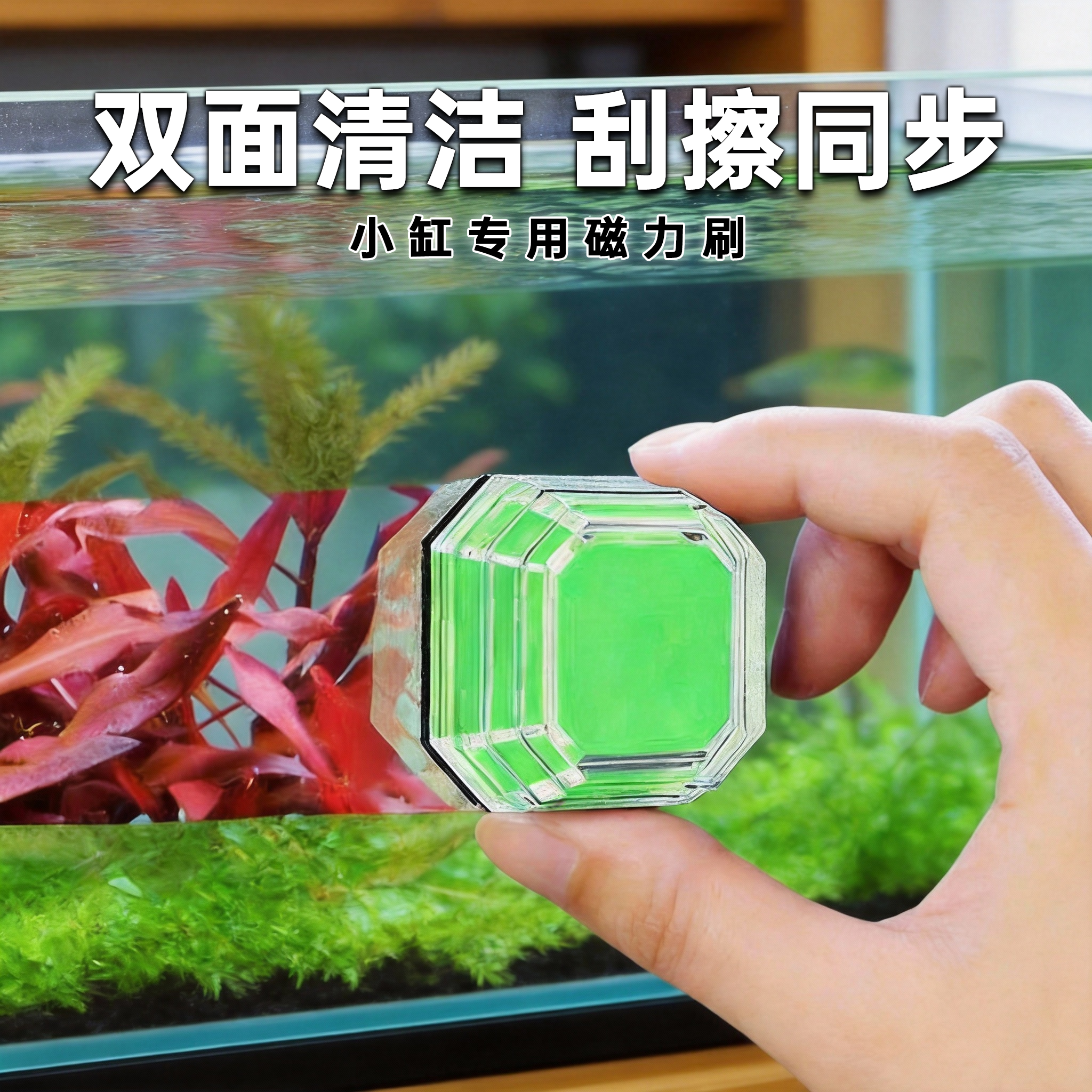 强磁力刷小型磁吸鱼缸擦玻璃清内壁洁除藻玻璃擦除垢刮藻铲鱼缸刷,宠物/宠物食品及用品,鱼缸清洁用具,淘宝优惠券,粉丝福利购,淘宝优惠卷