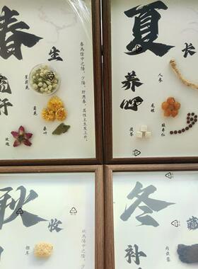 中药标本diy中草药展示药房