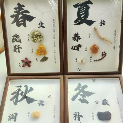 中药标本diy中草药展示药房