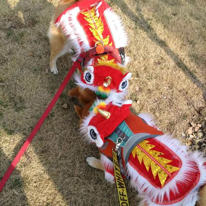 拉布拉多金毛萨摩耶狗狗衣服大型犬卫衣加绒秋冬过年舞狮装保暖