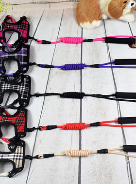 舒适透气狗狗背心式牵引绳泰迪柯基可爱中小型犬胸背带式可调伸缩