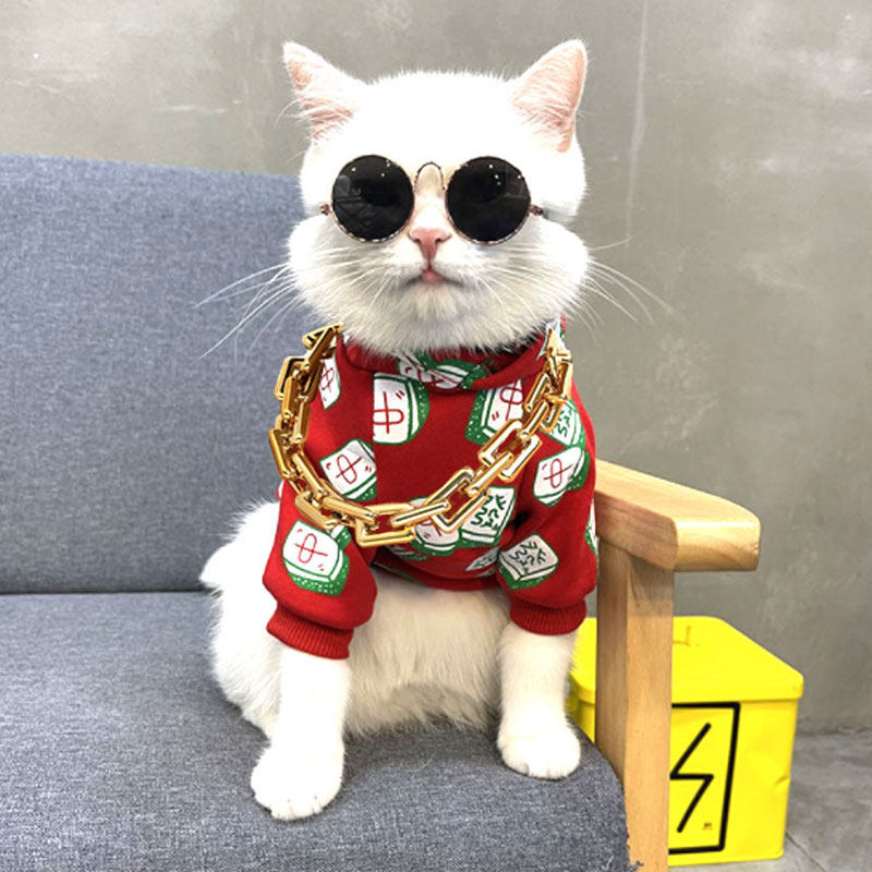 宠物猫咪狗狗金项链拍照饰品
