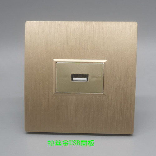 拉丝金86型一位USB直头面板单口USB母对母直插式对接数据延长插座