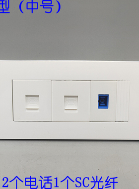 118型中号2个语音电话1个SC光纤法兰盘插座双口免打CAT3语音面板
