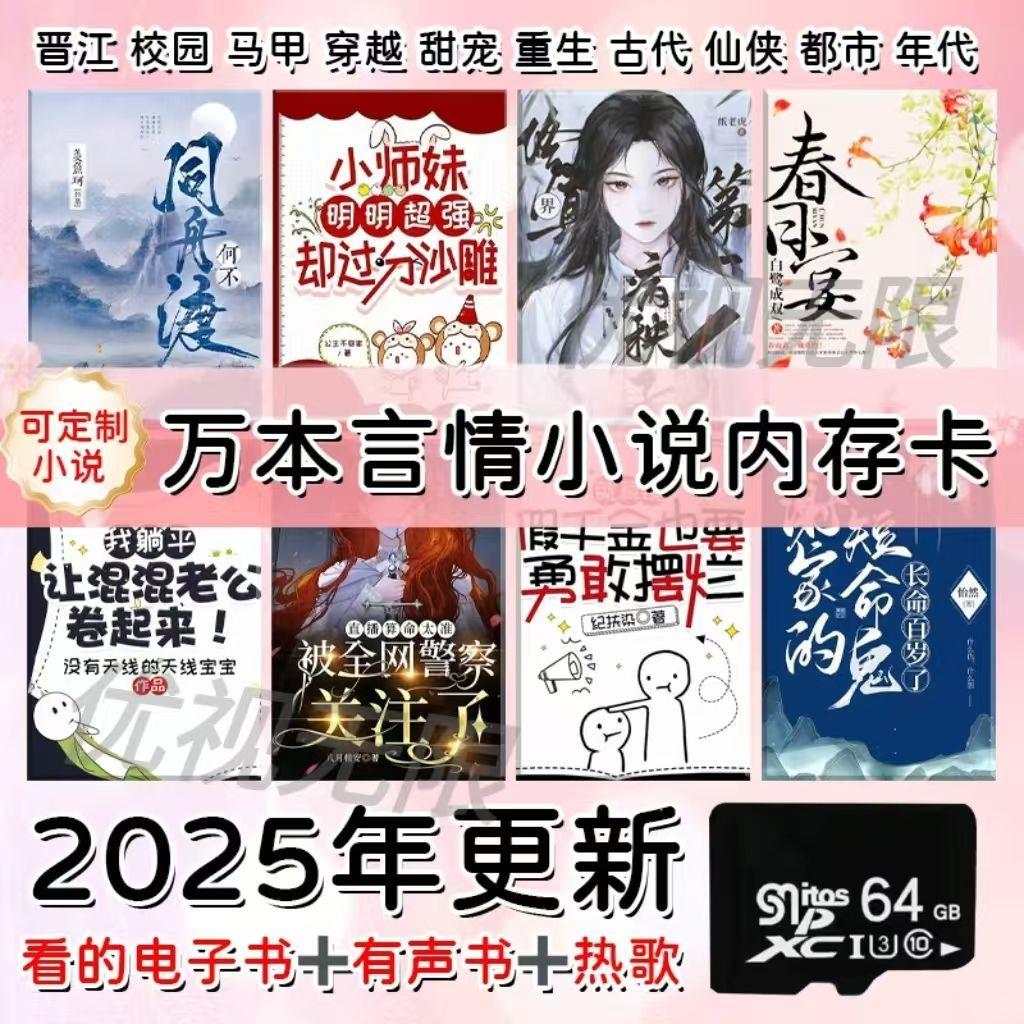 番茄言情小说内存卡MP3播