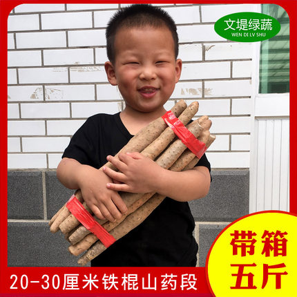 铁棍山药段带箱5斤装20-30厘米农家自产河北蠡县特产新鲜铁杆