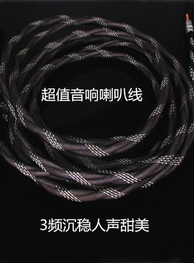 镀银 喇叭线双线 发烧级HIFI喇叭线环绕前置主音箱线AV功放音响线