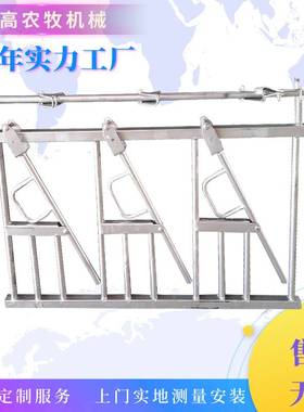 养殖设备cattle headlock奶牛3米4位6米8位热镀锌单开固定牛颈夹