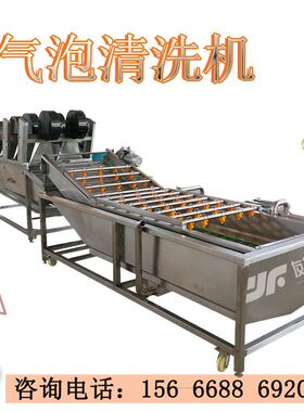 薄荷叶喷淋洗菜机 不锈钢干辣椒清洗机 全自动果蔬气泡清洗机