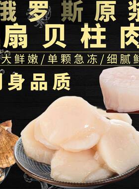 俄罗斯扇贝柱肉冷冻带子刺身贝柱