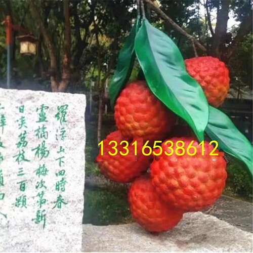 玻璃钢荔枝杨梅蓝子模型树脂水果卡通人物公仔雕塑定制玩偶吉祥物