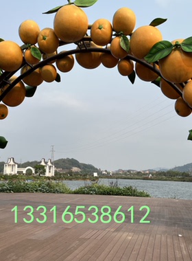 玻璃钢橘子橙子门拱摆件乡村振兴树脂纤维水果草莓门头造型卡通人