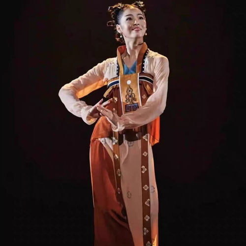 古典舞演出服女飞鸟髻舞蹈服