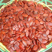 包邮 江西赣南特产蒸汽原味红瓜子500g西瓜子年货休闲零食 新品 热卖