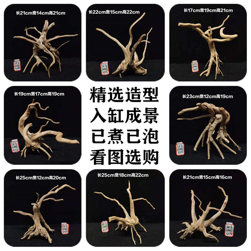 杜鹃根沉木一物一拍看图挑选图片