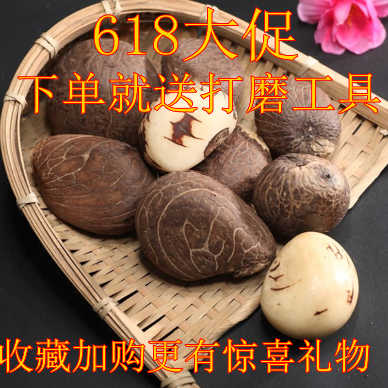 天然原籽黄白菩提精选