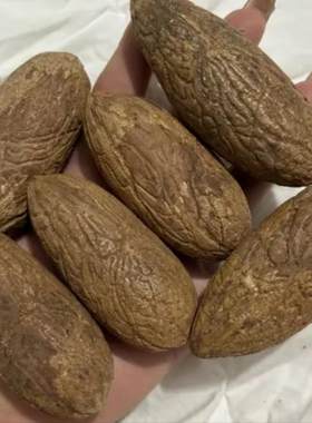千眼菩提单颗文玩把件