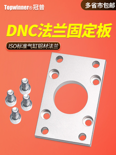 DSBC 法兰安装 ISO标准气缸垂直固定板 CP96 SAI 件FNC铝板DNC