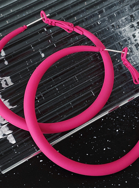 RTZHANG韩国荧光彩色耳圈耳环女S925银针百搭个性时尚气质耳饰潮