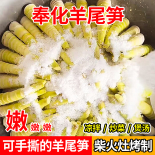 25年宁波奉化羊尾笋本地农家雷笋柴火精烤盐渍羊尾笋煲汤可撕凉拌