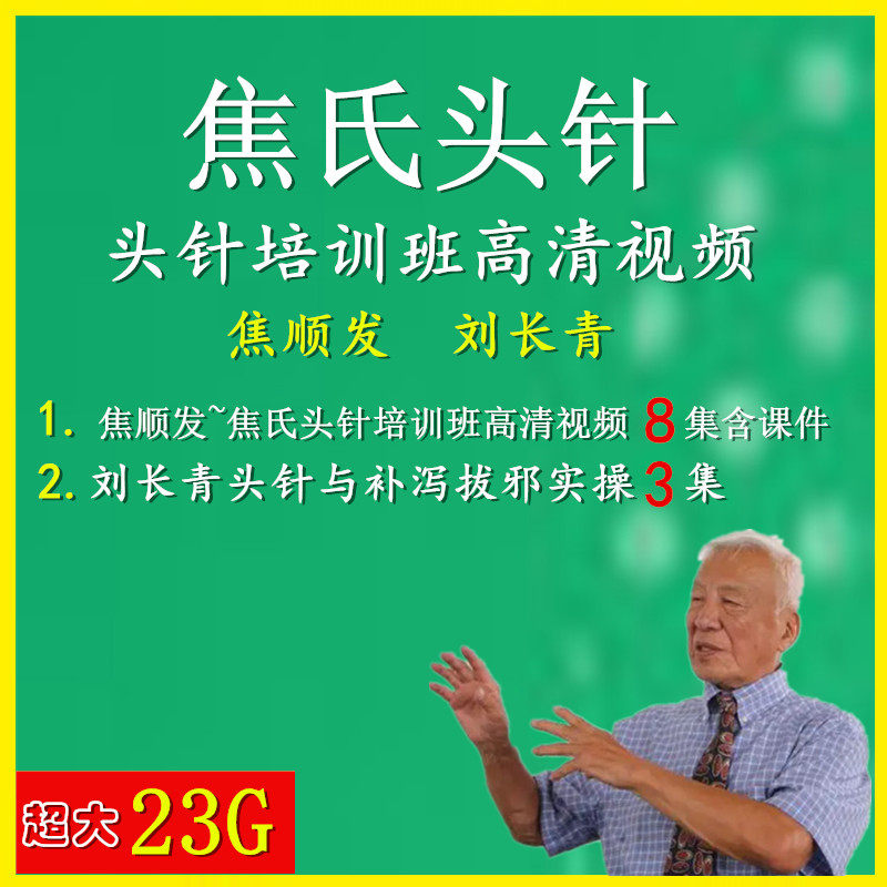 焦氏头针班14g视频焦顺发头针疗法视频 头针疗法针灸教程