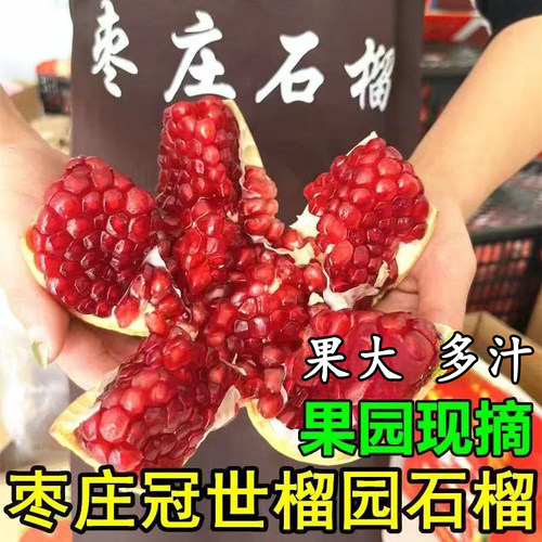 新鲜现摘山东枣庄薄皮特大甜石榴