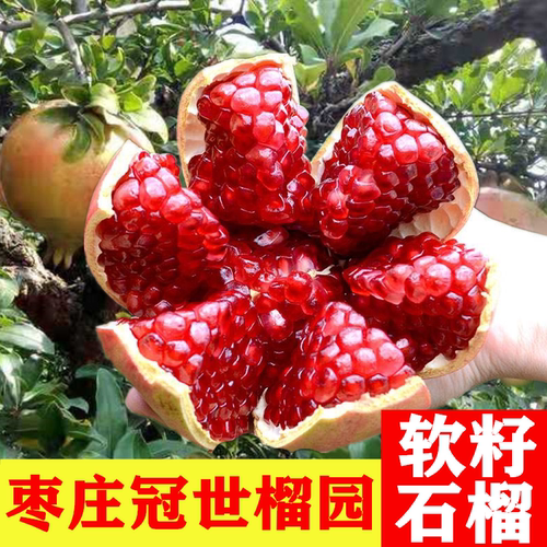 突尼斯软籽石榴枣庄特产新鲜