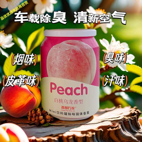 车载固体香薰持久留香除异味