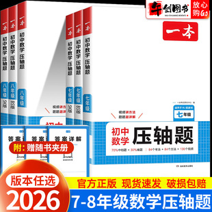 2026一本初中数学压轴题专项训练七八年级人教版北师大版苏科版  初一初二数学解题方法例题练习中档题难题考法典型例题精讲精练书