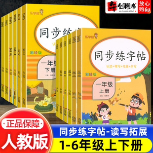 乐学熊同步练字帖一二三四五六年级上册下册人教版 2024新版 小学生语文同步练字帖专项训练书同步课本生字练字帖写字课课练每日一练