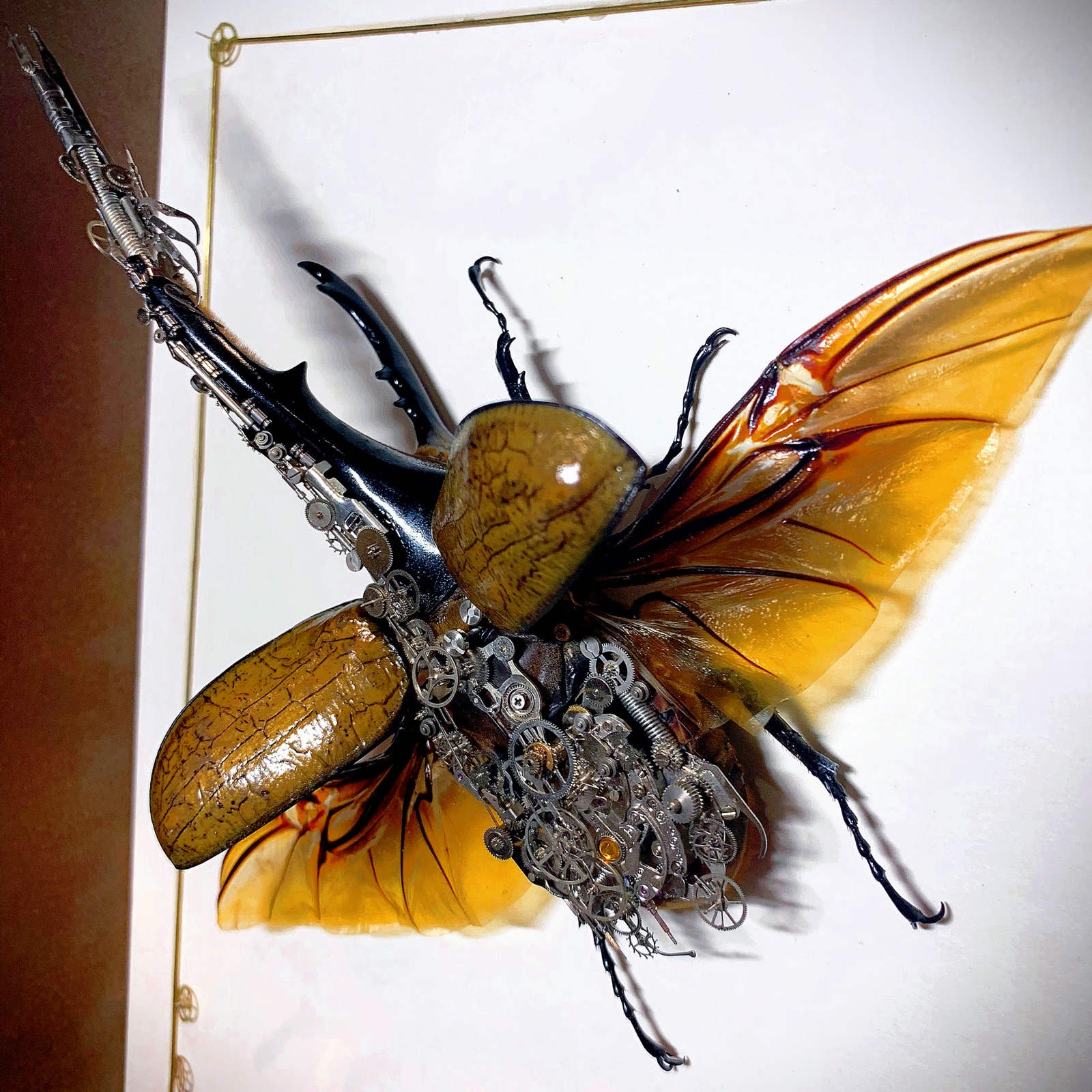 长戟大兜机械甲虫 蒸汽朋克甲虫标本 顺丰包邮 个性礼品生日礼物