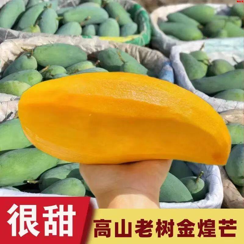 四川攀枝花贵妃芒果现摘新鲜米易大贵妃甜芒果当季新鲜水果10斤箱