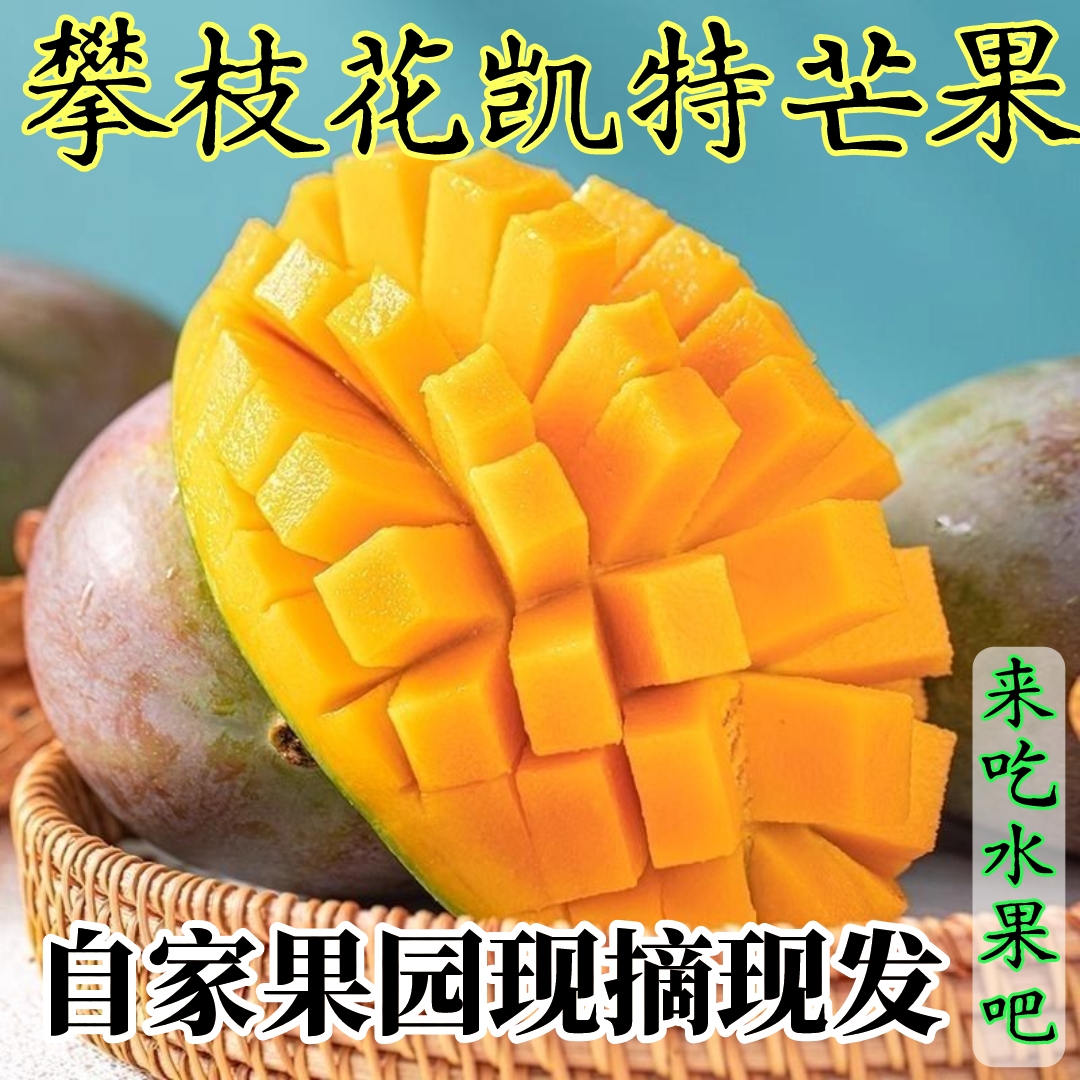 四川攀枝花凯特芒果新鲜水果当季包邮应季青皮凯特芒攀枝花芒果