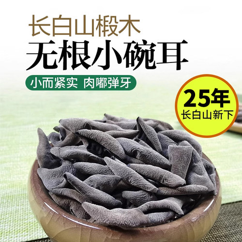 东北小碗耳长白山椴木老鼠耳无根