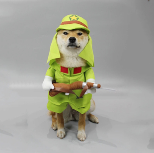 搞笑变身装扮猫咪狗狗特效扮装可爱大左日某本同款