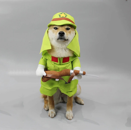 奇宠猫狗搞笑扮装厂家直销